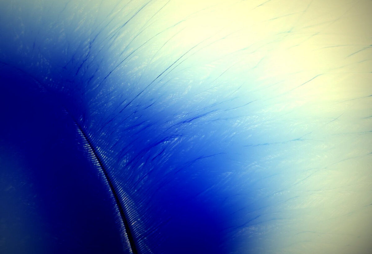 LPF12 Contours Of Stillness