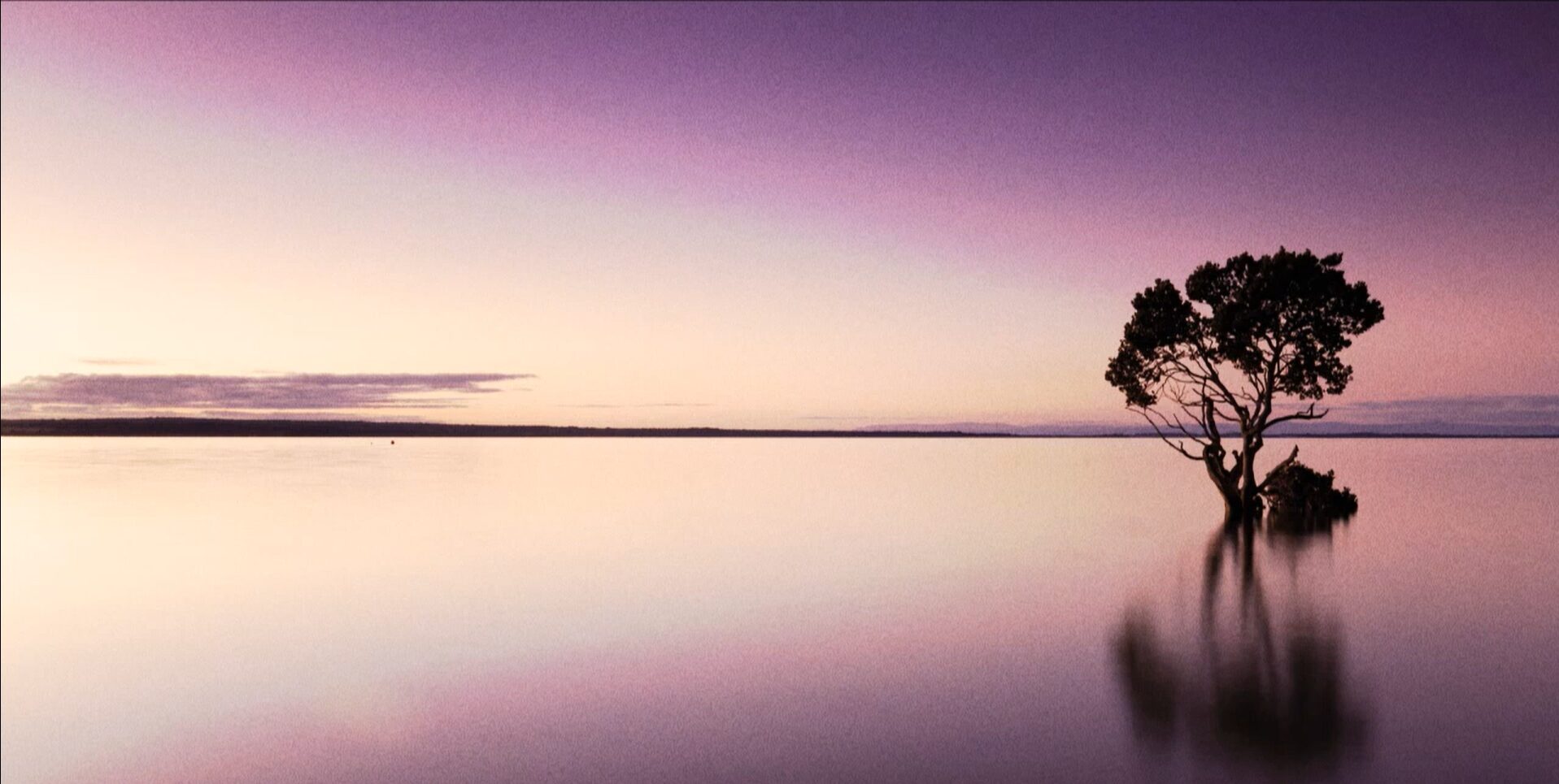 Forgotten Dawn Lo Fi Relaxing Ambient Meditation Music 02