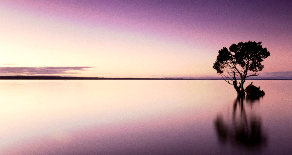 Forgotten Dawn Ambient Meditation Music 2