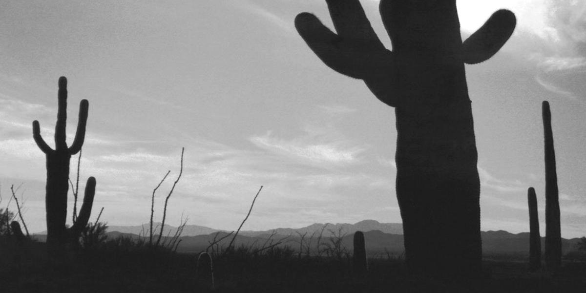 Steve Roach Roger King Dust To Dust