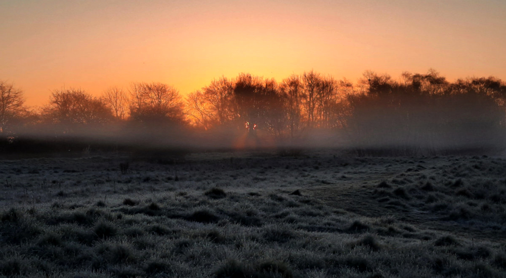 Bill Baxter Sunlight Through Morning Mist